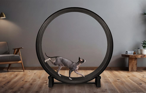 Ruota per Gatti Silenziosa Tapis Roulant per Esercizio Domestico Gioco Interattivo per Animali Domestici - Product Image 6