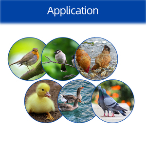 XM-18SW интеллигентая (ый) инкубатор пульт дистанционного управления интеллигентая (ый) управление/инкубаторные машины с поддержкой Wi-Fi система приложений - Product Image 6