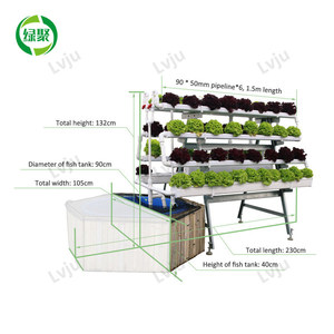 Aquaponics <b>Fish</b> Farms <b>Tanks</b> Greenhouse Hydroponics Aquaponics Growing System <b>Fish</b> for <b>Fish</b> and Vegetable Aquaponics <b>Fish</b> Aq - Product Image 4