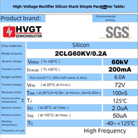 HVGT 2CLG60KV/0.2A Assemblage de redresseur en silicium haute tension 200mA 60KV 100nS Alimentation haute fréquence certifiée SGS/RoHS
