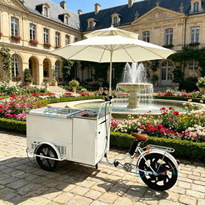 Mini-chariot à glaces et desserts, grande capacité de rangement, auvent résistant aux intempéries, pour la vente mobile en parc, sur la plage, ou comme remorque alimentaire. - Product Image 4