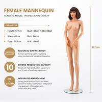 Mannequin Femme Sexy en Plastique PP pour Vitrine – Présentoir de Vêtements – Meilleures Ventes à Prix Abordable