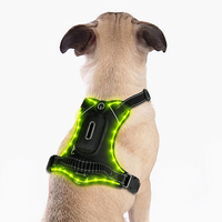 Harnais de chien de lampe de corde de broderie de lueur de LED en gros d'usine avec la boîte de magasin fécale pour promener le chien la nuit
