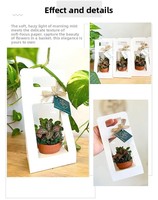 Porte-plantes succulentes en papier blanc écologique avec poignée, étiquette de remerciement personnalisée, boîte cadeau pour fête