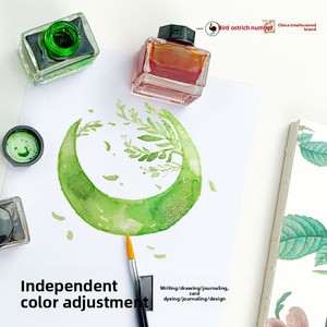 Inchiostri Glitterati Colorati Senza Carbonio, Inchiostri Dorati Scintillanti per Disegno, Set di 12 Colori per Penne Calligrafiche per Arte - Product Image 2