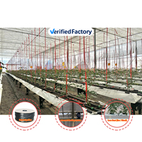 Serre tunnel horticole monocouche en film PE de grande taille, économique, en promotion, pour la culture des baies et des tomates