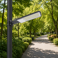 OUTLUX G025 SWAN Farola Exterior de 100W IP65 AC LED de Aluminio 6500K 130x75 Ángulo de Haz >36000Hrs de Vida Útil para Jardín y Carretera