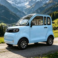 Voiture électrique mini EV à deux portes et deux places, sans permis, quatre roues, 45 km/h, pour adultes, fermée, certifiée EEC / COC / CE