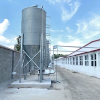 Fornitura Professionale di Silos in Acciaio Zincato per Mangimifici con Grande Capacità di Stoccaggio