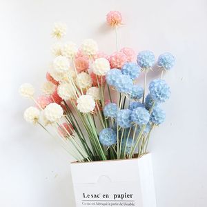Flores secas de alta calidad y planes molino de viento fruta combretocarpus <span class=keywords><strong>Scabiosa</strong></span> seca conservada para la decoración del hogar de la boda - Product Image 3