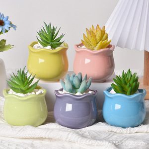 Maceta de pared creativa con diseño de macaron, transpirable, luminosa, estilo pastoral fresco, <span class=keywords><strong>para</strong></span> <span class=keywords><strong>cactus</strong></span> <span class=keywords><strong>y</strong></span> <span class=keywords><strong>suculentas</strong></span> - Product Image 2