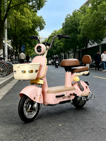 Vélo électrique 350W à moteur silencieux 48V avec moteur à moyeu arrière et freins à tambour avant/arrière pour les trajets quotidiens