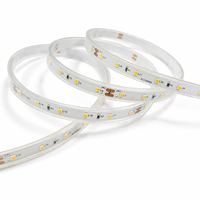 Éclairage commercial SMD2835 10MM 60LEDs/M DC 24V Tension sécurisée Double couche de cuivre IP65 Bande LED pour hôtel/magasin/club
