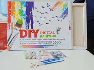 CHENISTORY 99191-Y Peinture par numéros Jolis feux d'artifice sur toile avec cadre pour adultes et enfants - Product Image 2