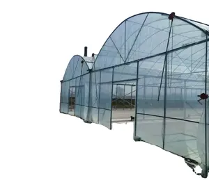 Precio de fábrica sistema hidropónico vertical agricultura invernadero de vidrio con sistema inteligente hecho en China