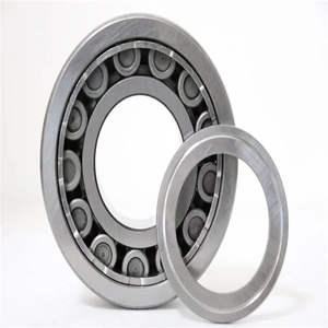 แบริ่งลูกกลิ้งทรงกระบอก NUP2009 NUP2009X2N/45x75x20mm ขนาด C3YA - Product Image 3