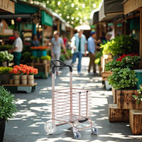 Vente flash : Chariot de courses pliable et mobile à 4 roues pour supermarché, camping, sac de voiture, montée des escaliers, avec roues