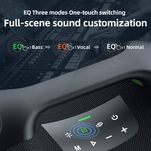 Zealot ZE21M avec double microphone, LED RGB, en plastique, sortie 250W, prend en charge la carte mémoire, la batterie TF pour le home cinéma et l'utilisation en extérieur - Product Image 5