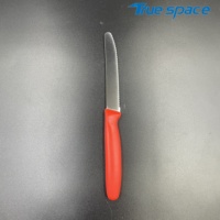 Couteau à fruits et légumes rouge dentelé pour la cuisine