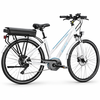 Batterie de vélo électrique personnalisée 36V 10.4Ah 11.6Ah Classic 300 400, pack de remplacement lithium-ion pour porte-bagages arrière, fournisseur direct d'usine