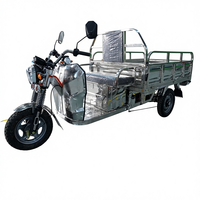 Tricycle électrique ouvert personnalisable, batterie au lithium 60V, transport agricole de marchandises, transport de passagers, 48V, 1 passager, robuste, 400 kg