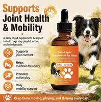 Gouttes pour la santé cérébrale des chiens de marque privée, suppléments pour animaux seniors CoQ10 DHA, soutien cognitif, absorption rapide, OEM ODM