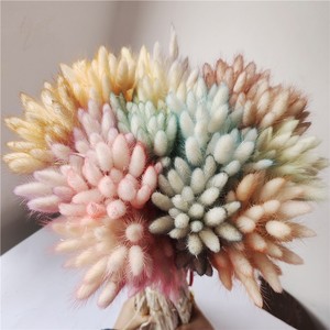 Fleurs séchées en gros, herbe de queue de lapin (<span class=keywords><strong>Lagurus</strong></span>), 60 tiges par bouquet, Fête des Mères, Noël, longue durée (3-5 ans), Yunnan - Product Image 2