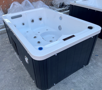 Baignoire de spa d'hôtel moderne en acrylique pour intérieur et extérieur avec panneau intelligent et éclairage LED