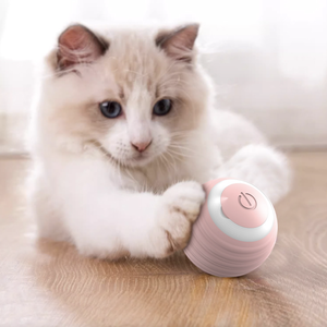 Jouet pour chat intelligent, nouvelle balle automatique qui roule, jouet d'entraînement pour chaton, jouet à mâcher pour animaux de compagnie, jouet interactif pour chat - Product Image 4