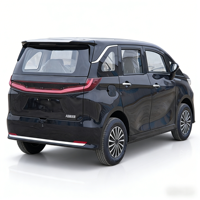 Véhicule électrique de luxe neuf avec 5 portes et 5 sièges, puissance de 3500 W, forte autonomie pour les voyages longue distance en famille, SUV