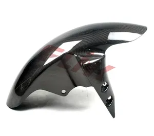 R1 2009 carbon products for fender
