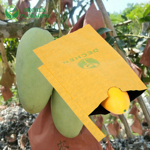 Mango Paper Bag Pricelist for Mango Paper Bag Service - Detailed &amp; Customizable