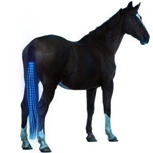 Equipo Ecuestre, Adornos para la Cola del Caballo, Barra de Luces LED Intermitentes para Montar a Caballo, Arnés, Deportes al Aire Libre, Carga USB, Decoraciones para Montar a Caballo - Product Image 1