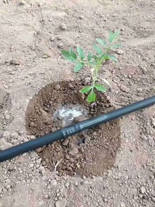 New type <strong>drip</strong> <strong>irrigation</strong> system manufacturer - Direct sales of <strong>drip</strong> tubes - Wholesale of <strong>drip</strong> tubes for hilly farmland terrain - Product Image 4
