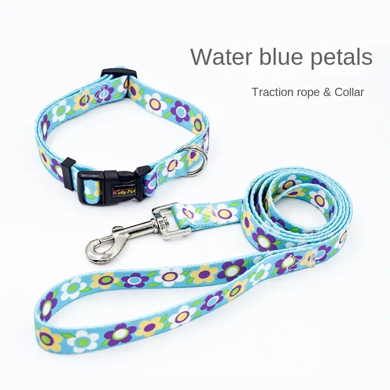 Low Price China Matching And Leash L Dog