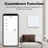 Nuevo Panel de Interruptores Inteligentes Tuya con Control Remoto por Voz a través de la Aplicación Zigbee, Estándar Europeo y del Reino Unido, Compatible con Alexa y Google Home