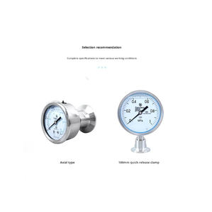 Manomètre à diaphragme sanitaire à fixation rapide YNTP-60BF en acier inoxydable - Product Image 4