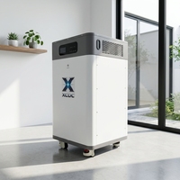Batterie LiFePO4 Xingce pour stockage d'énergie solaire domestique, 15kWh 20kWh 48V 100Ah IP65, empilable, pack hybride/hors réseau
