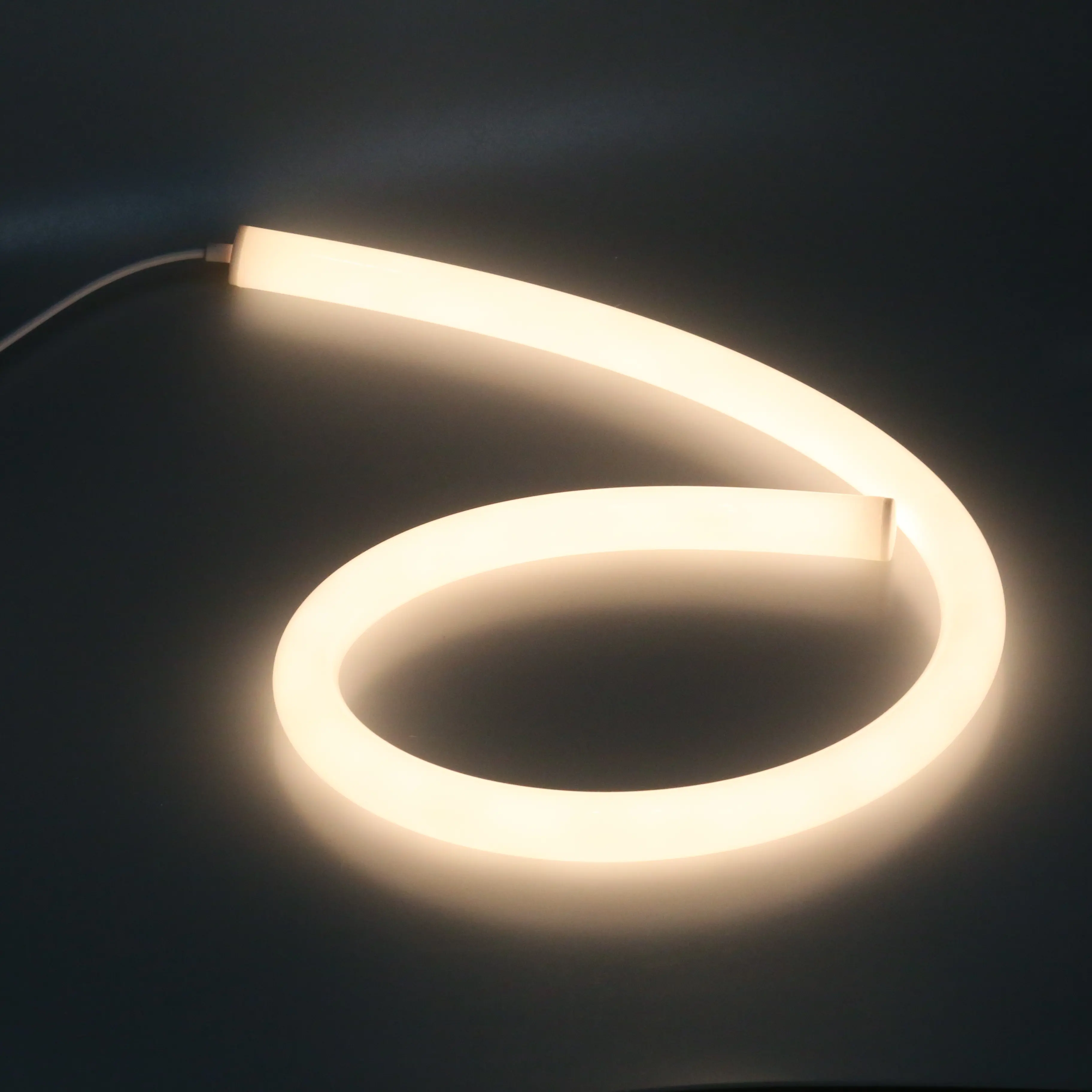 DIY Neon 360-Grad-kreisförmige flexible Silikon Neonst reifen willkürliche Modellierung Flexible Neonlicht LED LED flexible Lichterketten