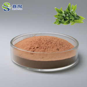 Supplément de qualité alimentaire de haute qualité 50% épigallocatéchine gallate (EGCG) poudre d'extrait de thé vert - Product Image 3