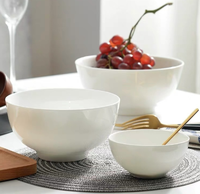 Vente en gros Bol à riz en céramique personnalisé Procelian blanc 5-9 pouces