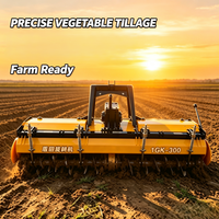 Motoculteur rotatif 1GK-300 : Briseur de sol efficace pour la rotation des cultures et la rénovation des terres agricoles