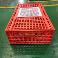 Ferme avicole Poulet de chair Rouge Orange Caisse de transfert Cage de transport en plastique pour poulet adulte Cellule en plastique pour volaille