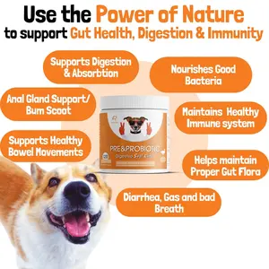 Op Maat Gemaakte Natuurlijke Traktaties Spijsvertering Immuniteit Darmgezondheidssupplement Hond Pre Probiotisch Supplement