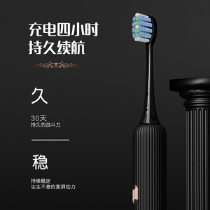 Brosse à dents électrique sonique, charge sans fil, étanche IPX7, 4 modes, rechargeable, version couple - Product Image 4