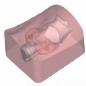 Module de ponction thyroïdienne guidée par ultrasons, modèle d'entraînement à l'anatomie humaine - Product Image 4