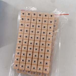 Semillas de prensado de oreja multifunción, estimulación de acupuntura Auricular, semillas de acupuntura magnéticas, buena calidad - Product Image 2