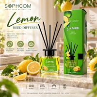 Diffuseur de parfum sans flamme classique de 120 ml avec bouteille en verre pour salon, chambre, salle de bain et bureau