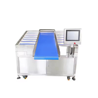 Báscula de Control de Peso Automática Multicarril con Cinta Transportadora para Alimentos y Control Táctil