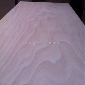 <span class=keywords><strong>Contreplaqué</strong></span> moderne commercial de première qualité en Okoume, Bintangor, bouleau, peuplier, E0, écologique, 3 mm, 3,5 mm, 4 mm, 5 mm, avec garantie d'un an - Product Image 2